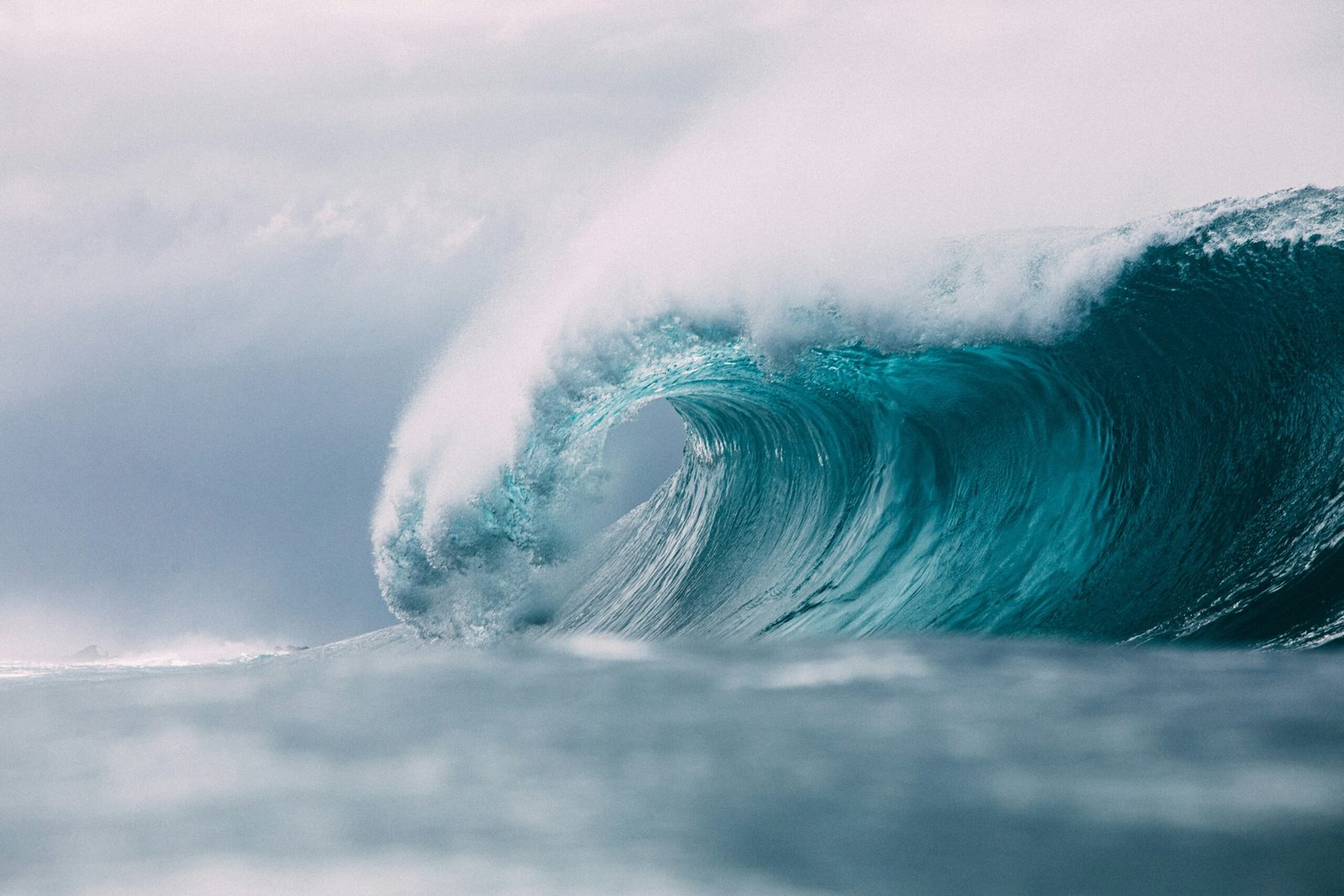 tsunami, west coast, washington