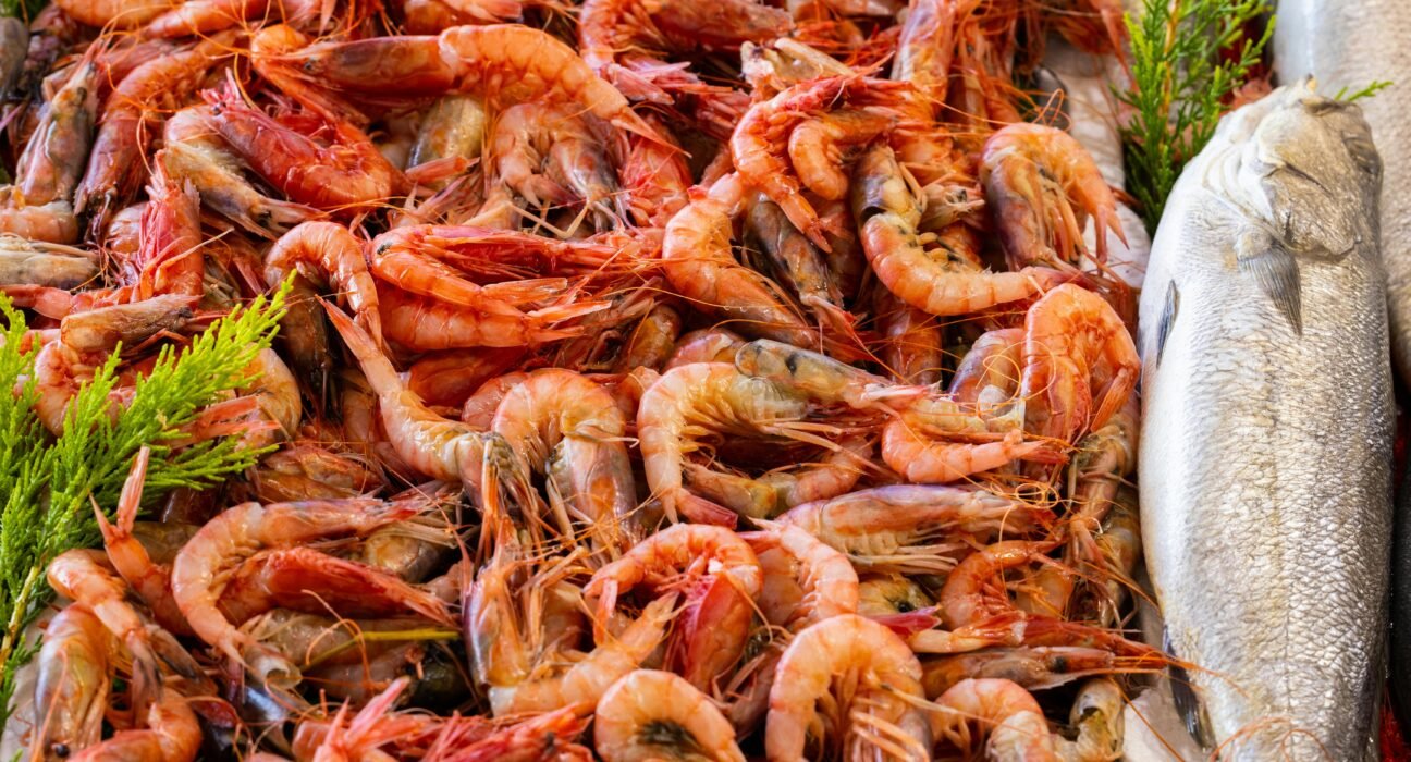 Radioactive Shrimp